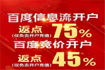 百度广告推广费用案例分享：从零到百万的飞跃